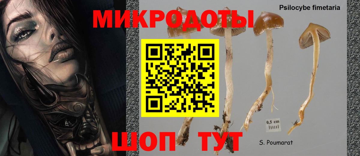Тихорецк  Псилоцибиновые грибы мухоморы  Вход с VPN 